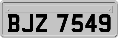 BJZ7549