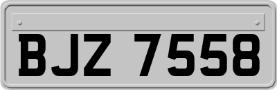 BJZ7558