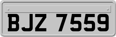 BJZ7559