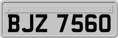 BJZ7560