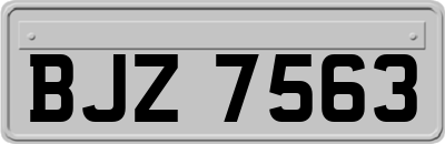 BJZ7563