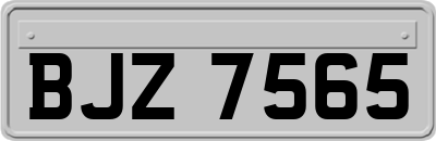 BJZ7565