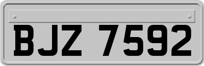 BJZ7592
