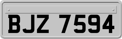 BJZ7594