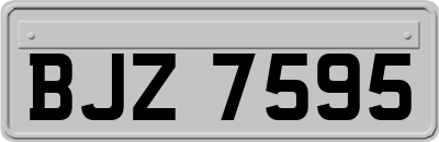 BJZ7595