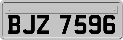 BJZ7596