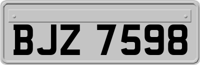 BJZ7598