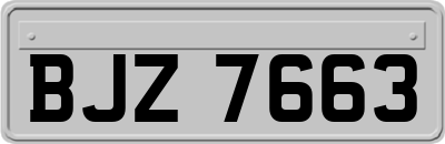 BJZ7663