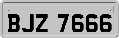 BJZ7666