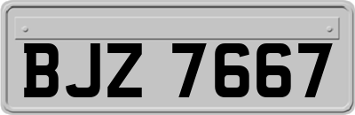 BJZ7667