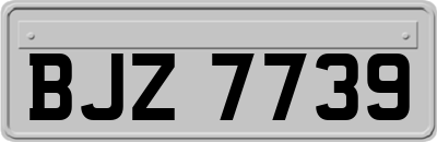 BJZ7739