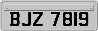 BJZ7819