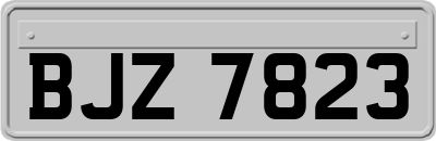 BJZ7823