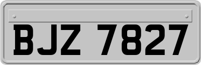 BJZ7827