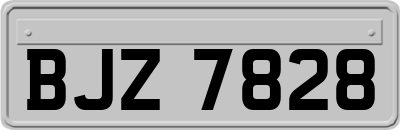 BJZ7828