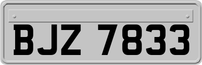 BJZ7833