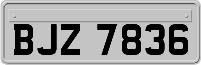 BJZ7836