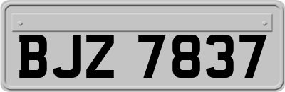 BJZ7837
