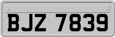 BJZ7839