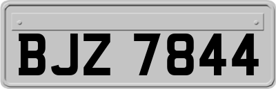 BJZ7844
