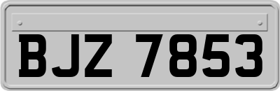 BJZ7853