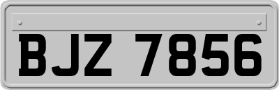 BJZ7856
