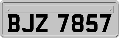 BJZ7857