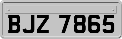 BJZ7865