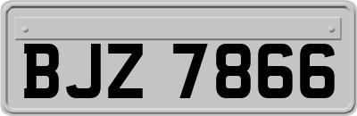 BJZ7866