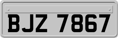 BJZ7867