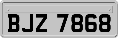 BJZ7868