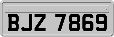 BJZ7869