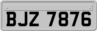 BJZ7876
