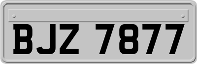 BJZ7877