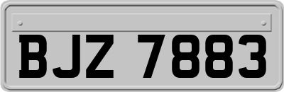 BJZ7883
