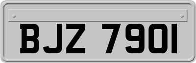 BJZ7901