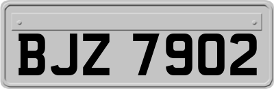 BJZ7902