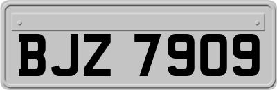 BJZ7909