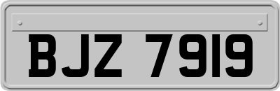 BJZ7919