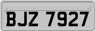 BJZ7927