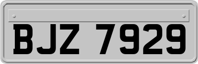 BJZ7929