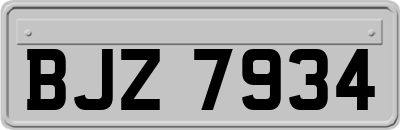 BJZ7934