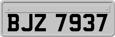 BJZ7937