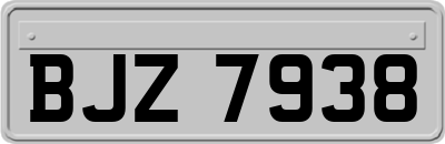 BJZ7938