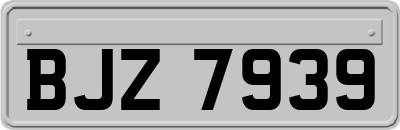 BJZ7939