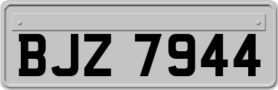 BJZ7944