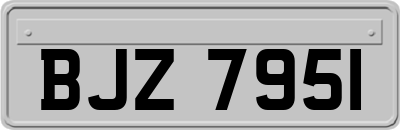BJZ7951