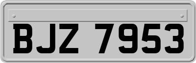 BJZ7953