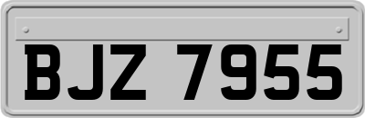 BJZ7955