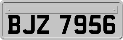 BJZ7956